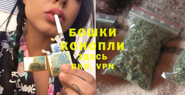 бошки Новодвинск