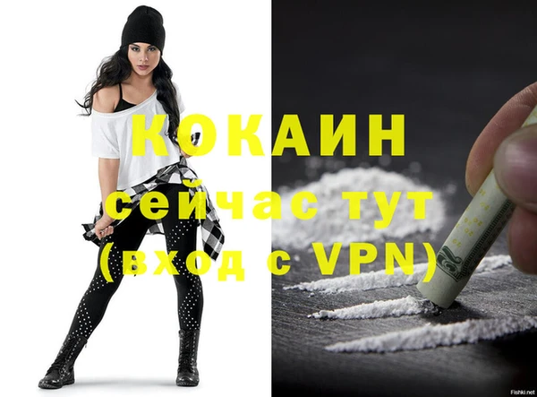 бошки Новодвинск