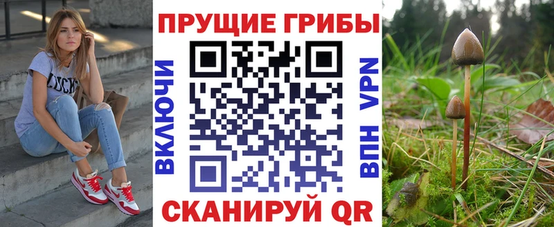 Псилоцибиновые грибы Magic Shrooms Родники