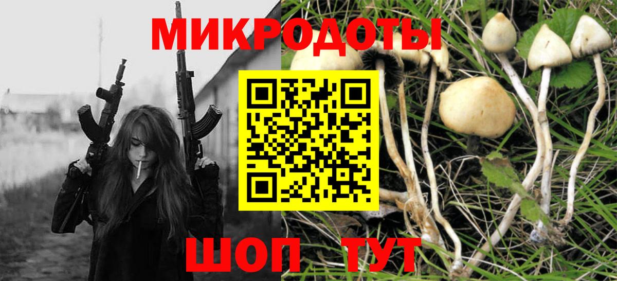 Псилоцибиновые грибы Psilocybine cubensis  Вход с VPN  Родники 