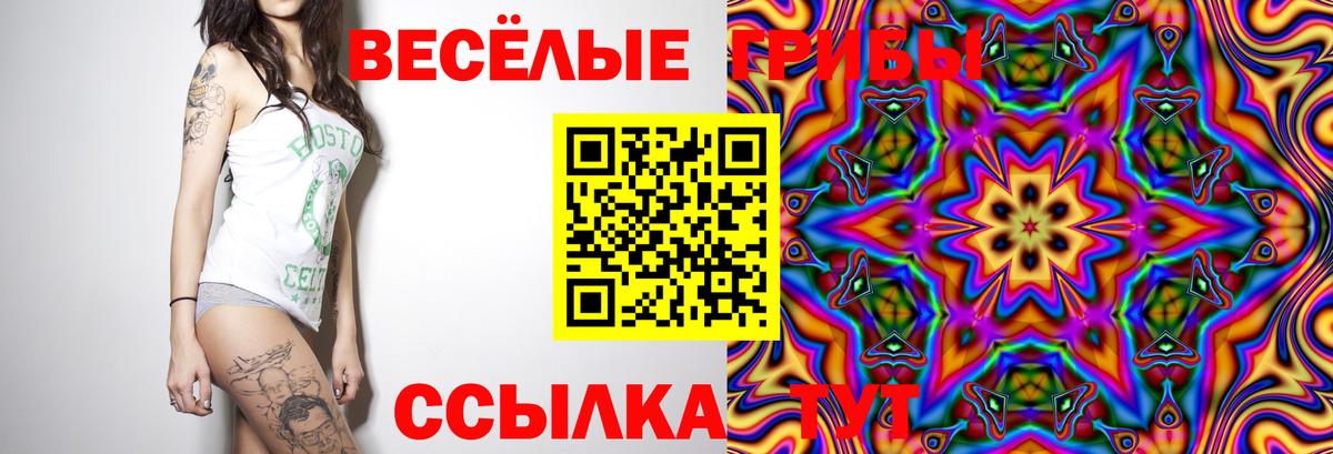 Галлюциногенные грибы мухоморы Родники